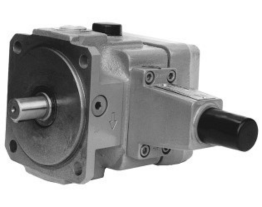 Pumps-v3_25x - WK409 073